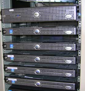 Rack mount